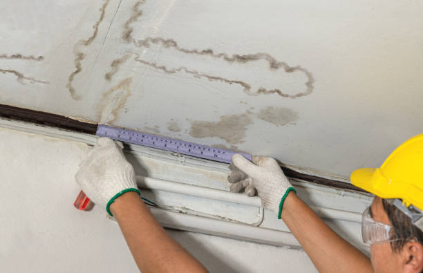 Reliable Mold Remediation contractor in Thompson, OH by Water Damage Irwin